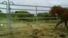 MOV00469