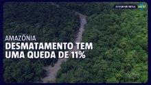Desmatamento na Amazônia Legal tem queda de 11% em um ano