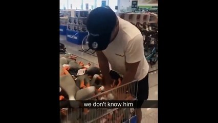 laugh till you pee, worlds funniest clips #8 (2025)