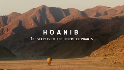 Documental - Hoanib - Los secretos de los elefantes del desierto - HOANIB: Elefantes del Desierto: La Increíble Lucha por la Vida en la Arena [DOCUMENTAL COMPLETO]
