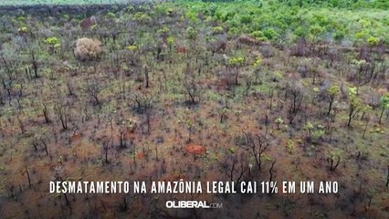 Desmatamento na Amazônia Legal cai 11% em um ano