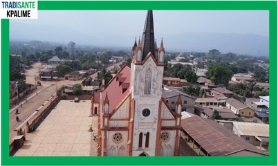 ENGAGEMENTS DES ACTEURS POUR LA REVALORISATION DE LA MÉDECINE ET DE LA PHARMACOPÉE TRADITIONNELLE AU TOGO