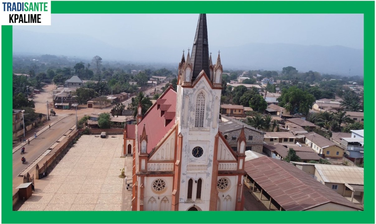 ENGAGEMENTS DES ACTEURS POUR LA REVALORISATION DE LA MÉDECINE ET DE LA PHARMACOPÉE TRADITIONNELLE AU TOGO