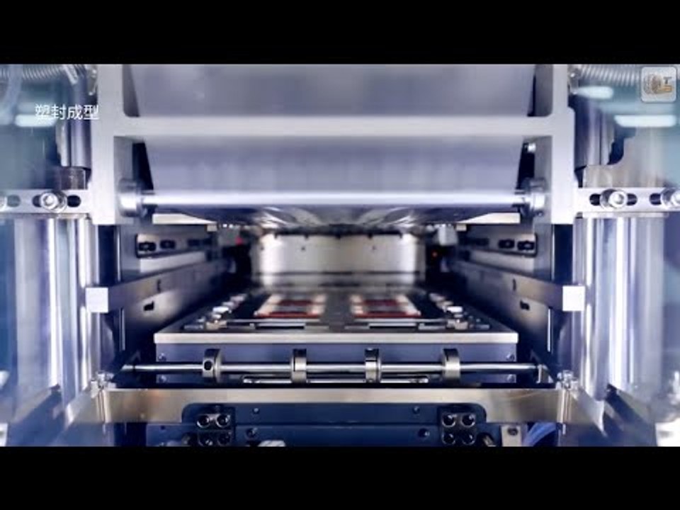 So entsteht Li Autos 800V Elektroantrieb! 🚗⚡ Made in China