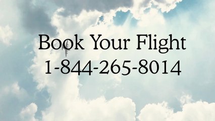 (FAQ) Full™ List℠ Of Priceline [USA] Customer Assistance™ Numbers & Hotlines — A Step-By-Step Guide