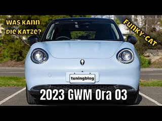 2023 GWM Ora 03 (Funky Cat): der Elektroflitzer mit Stil & Reichweite im Detail