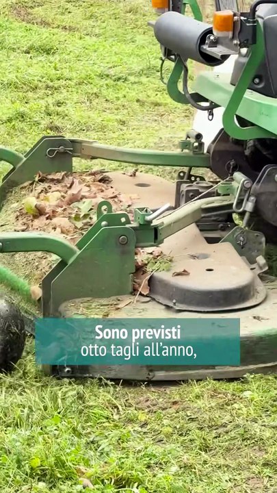 Desio - AL VIA IL NUOVO APPALTO DI GESTIONE E MANUTENZIONE DEL VERDE COMUNALE (31.10.25)