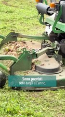 Desio - AL VIA IL NUOVO APPALTO DI GESTIONE E MANUTENZIONE DEL VERDE COMUNALE (31.10.25)