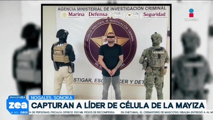 Capturan a “El Tomate”, líder de célula criminal vinculada a "El Mayo" Zambada