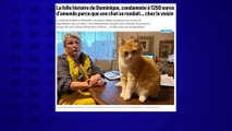 Un chat condamné à 1.250 € d'amende