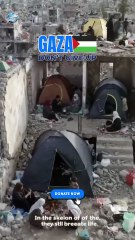 Palestine Destroyed, Families Starving – Will You Help Them?