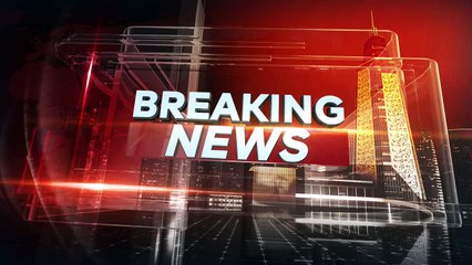 Detik-Detik Presiden Prabowo Tiba di Korsel, Bakal Hadiri KTT APEC 2025