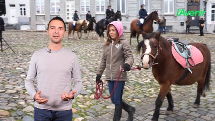 La minute locale du 2 novembre 2025 : la bénédiction des animaux