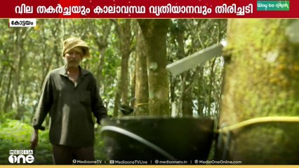 റബ്ബർ വിലയെ ആശ്രയിച്ച് കോട്ടയത്തെ ജനവിധി, LDFന് തിരിച്ചടിയാവുമോ?