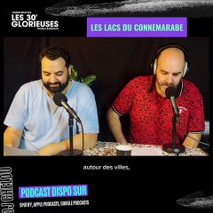 Michel SARDOU, "Le Lac du Connemara" HUMOUR (Plagiat)