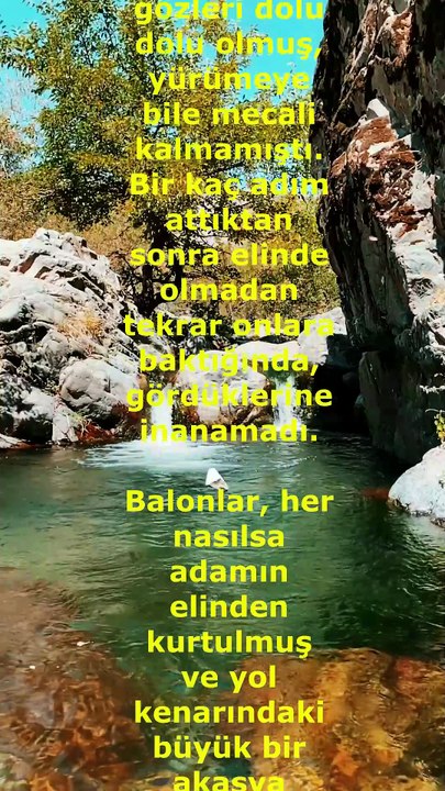 Ağaçtaki Balon Hikayesi
