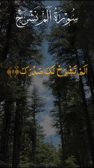 Surah Alam Nashrah ألم نشرح #Surah #Quran #SuranAnshrah