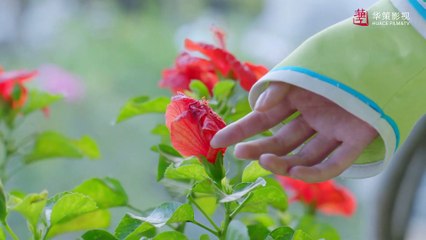 Historical Romance Rule The World Ep8 Starring Raymond Lam, Tang Yixin