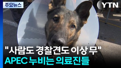"사람도 경찰견도 이상 무"...APEC 현장 누비는 의료진들 / YTN