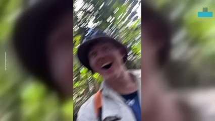 Rare Amazonian Butterfly Leaves Researchers Stunned