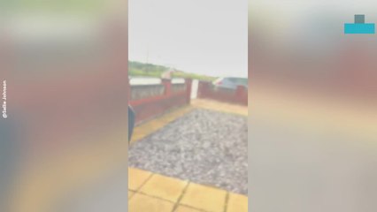 Mom and Daughter Accidentally Locked Inside Car in Hilarious Mishap