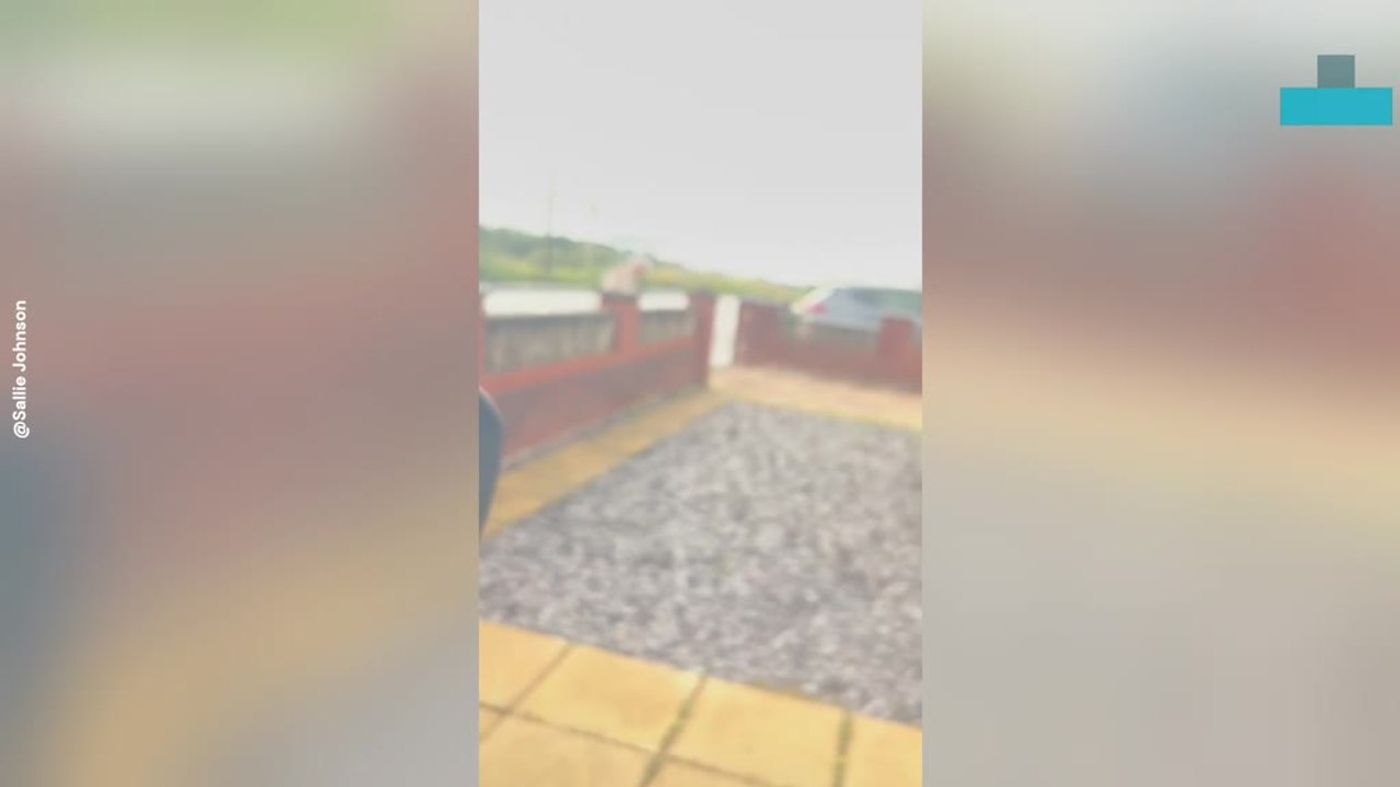 Mom and Daughter Accidentally Locked Inside Car in Hilarious Mishap