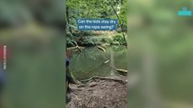 Kids Test Their Luck on Rope Swing Over Water