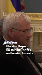 Ukraine Urges EU to Hike Tariffs on Russian Imports