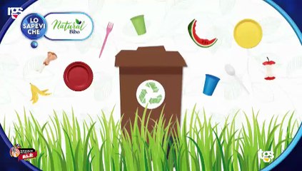 Sveglia Sicilia Alè Palermo, puntata del 31 ottobre