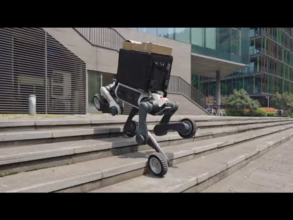 Unaufhaltbarer robodog: lynx m20 trotzt jedem terrain | unglaubliche aufnahmen