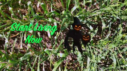 Halloween in the Maritimes: Spooky Coastal Nights in New Brunswick Halloween Special 👻🎃👻🎃👻🎃👻🎃