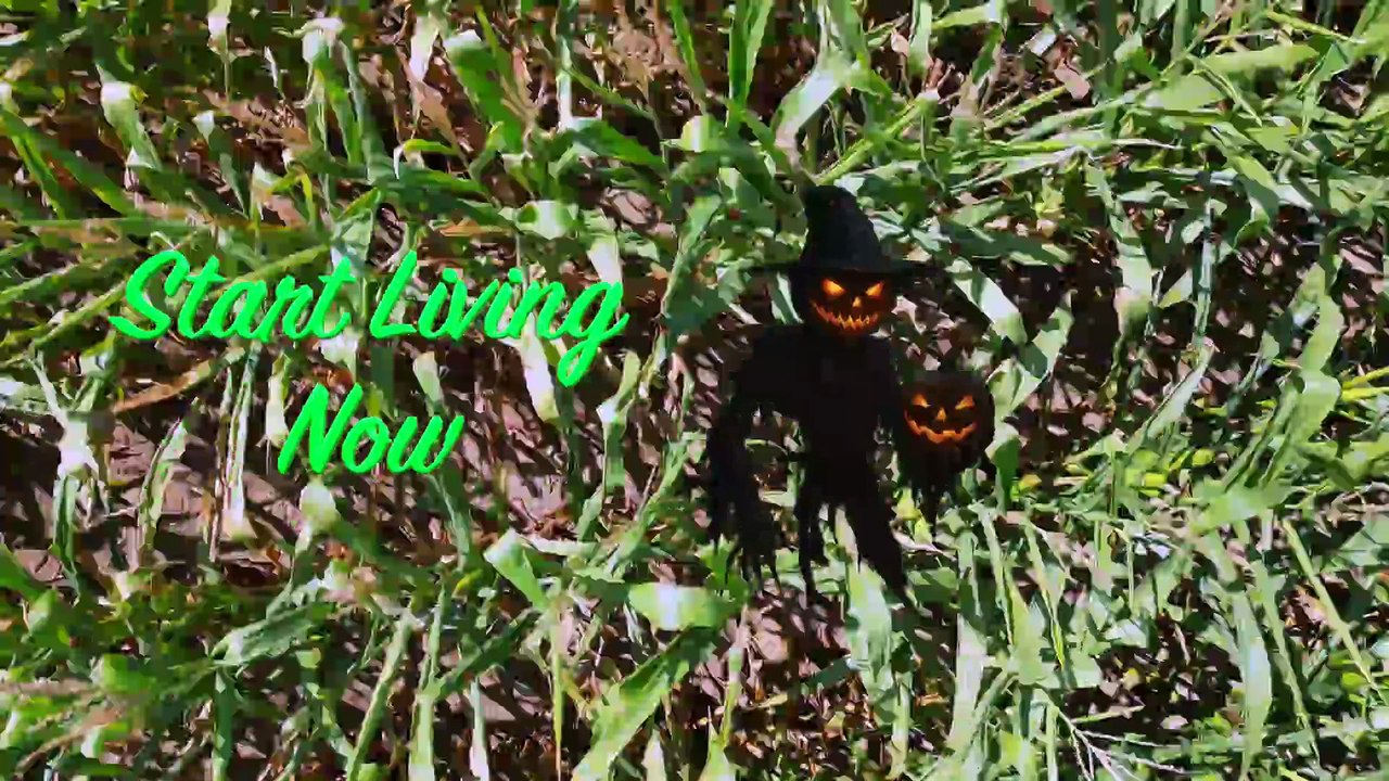 Halloween in the Maritimes: Spooky Coastal Nights in New Brunswick Halloween Special 👻🎃👻🎃👻🎃👻🎃