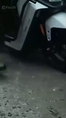 Seeds of Power Fruits of Fury