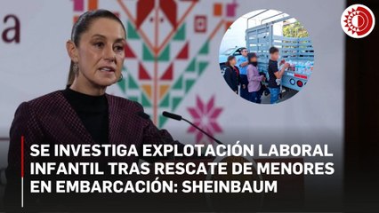 Se investiga explotación laboral infantil en transporte de menores de edad desde Chiapas: Sheinbaum