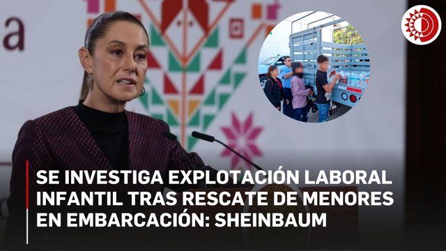 Se investiga explotación laboral infantil en transporte de menores de edad desde Chiapas: Sheinbaum