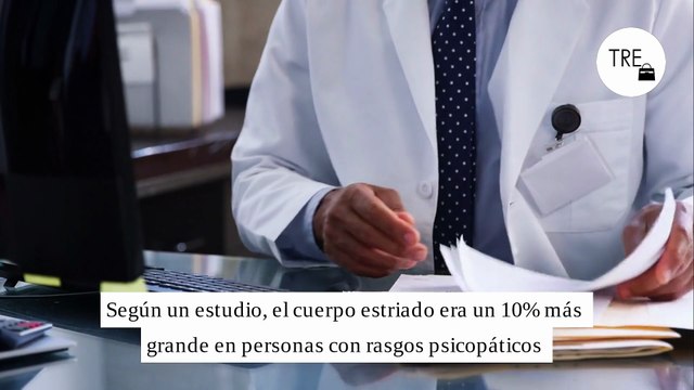 Hay una diferencia clave entre los psicópatas y las personas normales. Está en la forma de su cerebro