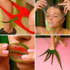 Unlock the Hidden Powers of Aloe Vera! 🍃