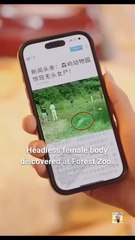 Animal Whisperer, Crime Solver Engsub