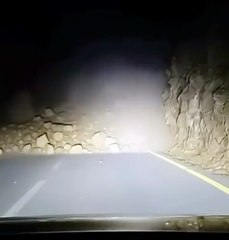 Sauvé par un animal sauvage... incroyable