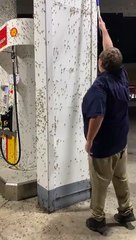 Pire métier du monde : retirer les mouches de cette station service