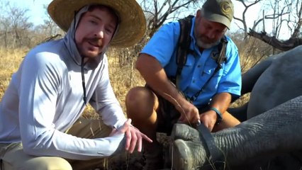 I Saved 1000 Animals From Dying In Hindi _ Mr Beas