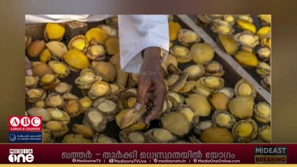 സൗദിയിൽ ടൂറിസം മേഖലയിൽ ജോലി ചെയ്യുന്ന വിദേശികളുടെ എണ്ണത്തിൽ വർധന. എഴുപത്തി അഞ്ചു ശതമാനം വിദേശികളാണ് മേഖലയിൽ നിലവിൽ ജോലി ചെയ്യുന്നത്