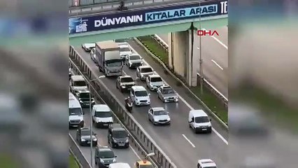 Ümraniye'de otoyol üzerinde ilerleyen koyun, sürücülere zor anlar yaşattı