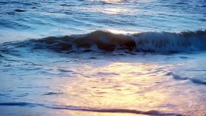 Home And Away – 8613 (28th October 2025)