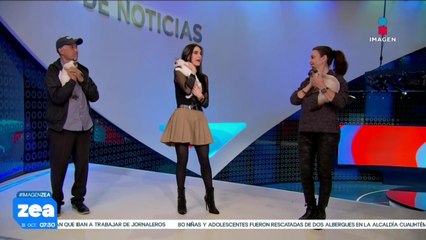 ¡Adopta, no compres! Estos pequeños gatitos están en busca de un hogar