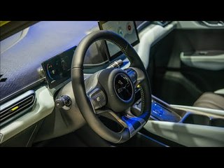 BYD Dolphin Surf im Interieur-Check | Mega-Features für Mini-Preis