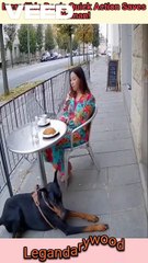 Unbelievable brave dog rescue goes viral | dog's quick action #dogrescue #doglove #petlove #animallove #herodog