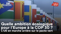 Ici l'Europe - Quelle ambition écologique pour l’Europe à la COP 30 ? L’UE en marche arrière sur le Pacte vert