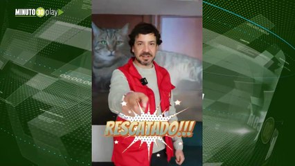 ¡Indignación en Bogotá! Rescatan a perro pitbull que era golpeado con un palo por su dueño en Patio Bonito