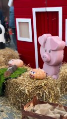 Pompei (NA) - Lo Sapio: Halloween a via Lepanto è pura magia 🎃(31.10.25)